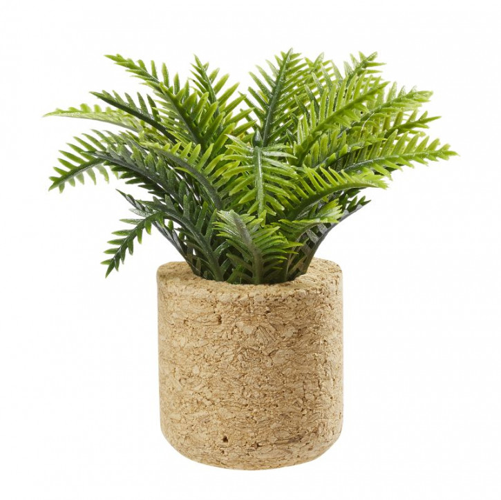 Palm-Pflanze, ca.6,5cm