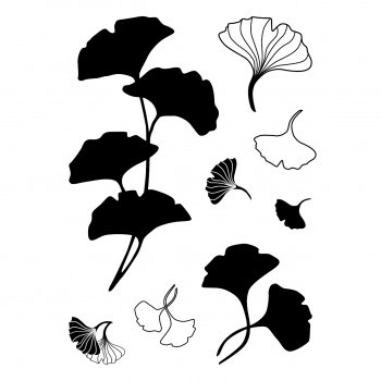 Clear Stamps Ginkgo 74x105mm 8 teilig