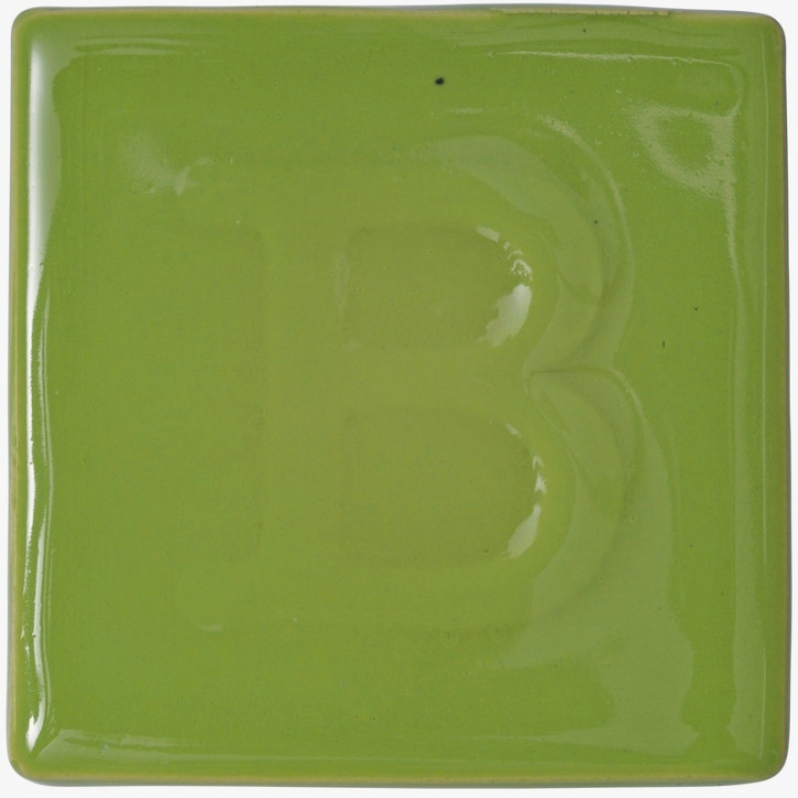 9348 Frühlingsgrün 200ml