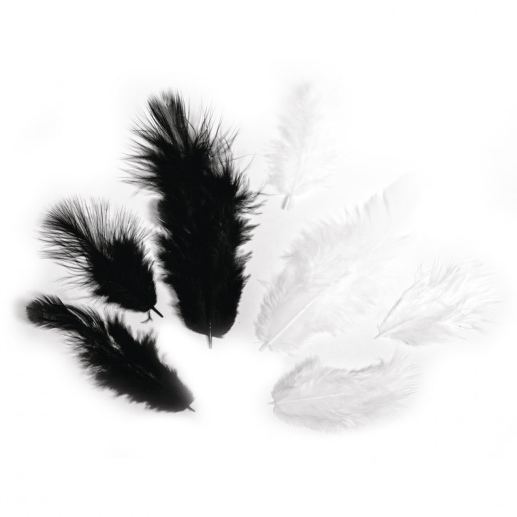 Federmischung, schwarz, 3-10 cm, SB-Btl. 10 g