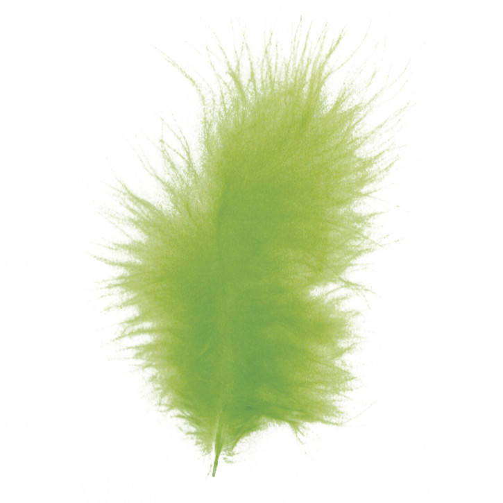 Flauschfeder, hellgrün, 10-15 cm, SB-Btl. 15 Stück