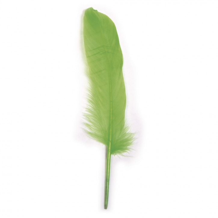 Gänsefeder, hellgrün 16-20 cm, SB-Btl 8 Stück
