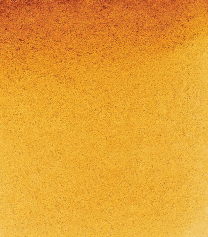 Chinacridongoldton 217}