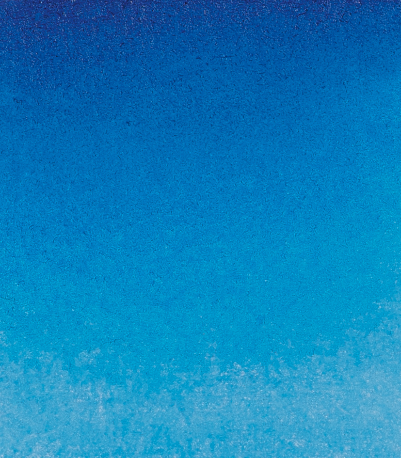 Coelinblauton 481}