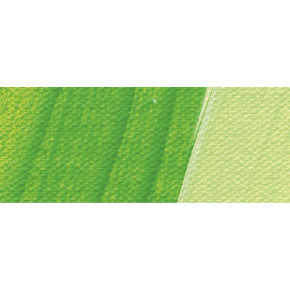 AKADEMIE Acryl Color 250ml Tube-Maigrün