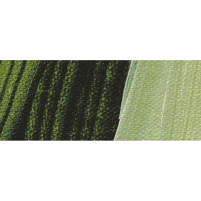 AKADEMIE Acryl Color 60ml Tube, Saftgrün