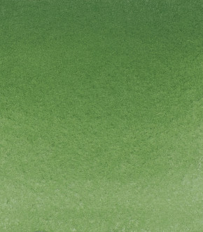 SCHMINCKE HORADAM® Feinste Künstler-Aquarellfarben, Chromoxidgrün stumpf 512, 1/1 Näpfchen