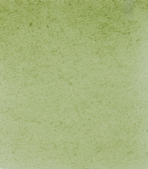 SCHMINCKE HORADAM® Feinste Künstler-Aquarellfarben, Grüne Erde 516, 1/2 Näpfchen
