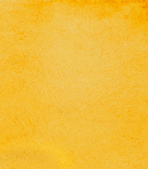 SCHMINCKE HORADAM® Feinste Künstler-Aquarellfarben, Lasur Ocker 657, 1/1 Näpfchen