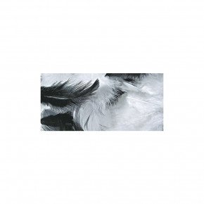 Federmischung, schwarz, 3-10 cm, SB-Btl. 10 g
